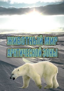 DVD "Животный мир Арктической зоны" - fgospostavki.ru - Мегион