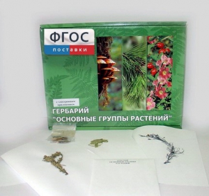 Гербарий "Основные группы растений" (52 листа) - fgospostavki.ru - Мегион