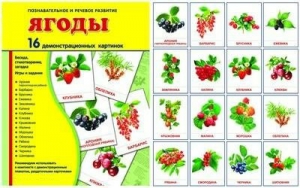 Демонстрационные карточки "Ягоды" - fgospostavki.ru - Мегион