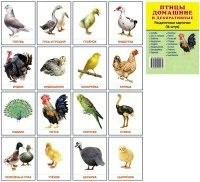 Раздаточные карточки "Птицы домашние и декоративные" - fgospostavki.ru - Мегион