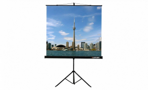Проекционный экран на штативе Lumien Eco View (LEV-100105) 160x160 см - fgospostavki.ru - Мегион