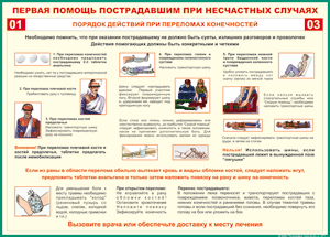 Таблица "Порядок действий при переломах конечностей" (100х140 сантиметров, винил) - fgospostavki.ru - Мегион