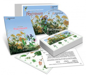 Комбинированное наглядное пособие «Растения» - fgospostavki.ru - Мегион
