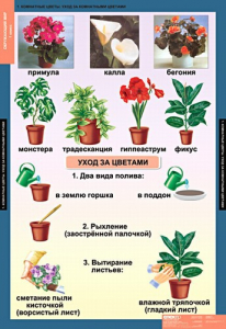 Комплект таблиц. Окружающий мир 1 класс. - fgospostavki.ru - Мегион