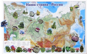 Магнитные карточки "Растения" - fgospostavki.ru - Мегион