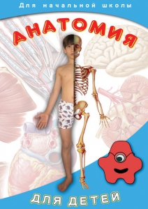 DVD "Анатомия для детей" - fgospostavki.ru - Мегион