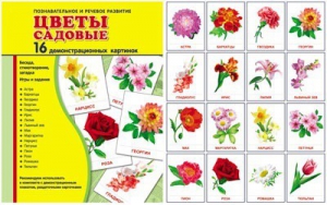 Демонстрационные карточки "Цветы садовые" - fgospostavki.ru - Мегион