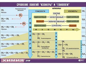 Таблица демонстрационная "Сравнение понятий изомер и гомолог" (винил 70x100) - fgospostavki.ru - Мегион