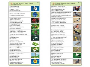 Комплект карточек (10) "Обучающий калейдоскоп. Природа" - fgospostavki.ru - Мегион