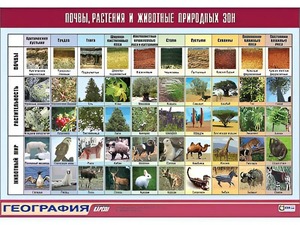Таблица демонстрационная "Почвы, растения и животные природных зон" (винил 70*100) - fgospostavki.ru - Мегион