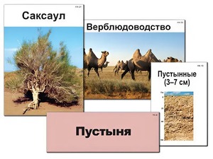 Модель-аппликация "Природные зоны России" (ламинированная) - fgospostavki.ru - Мегион