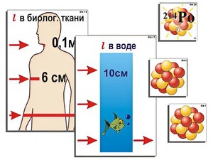 Модель-аппликация "Явление радиоактивности" (ламинированная) - fgospostavki.ru - Мегион