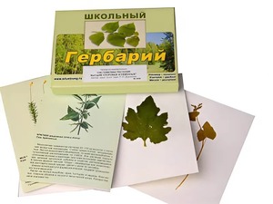 Гербарий "Систематика растений. Высшие споровые и семенные" (раздаточный) - fgospostavki.ru - Мегион