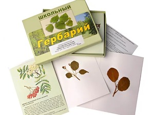 Гербарий "Систематика растений. Семейство Розоцветные" (раздаточный) - fgospostavki.ru - Мегион