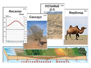 Модель-аппликация "Природные зоны" - fgospostavki.ru - Мегион