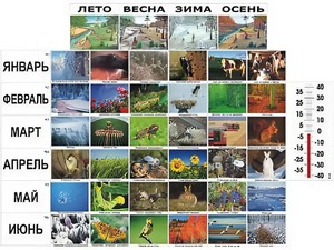 Фенологические наблюдения - fgospostavki.ru - Мегион