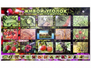 Комплект оборудования "Живой уголок" (растения) с тифлопереводом и сурдокомментариями - fgospostavki.ru - Мегион