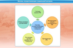Интерактивные курсы. Обществознание 10 класс. Базовый - fgospostavki.ru - Мегион