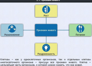 Интерактивные курсы. Биология 5 класс. Базовый - fgospostavki.ru - Мегион