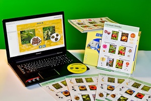 Коллекция натурально-интерактивная "Семена и плоды" - fgospostavki.ru - Мегион