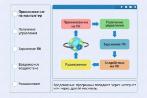 Интерактивные курсы. Информатика 10 класс . Базовый. - fgospostavki.ru - Мегион