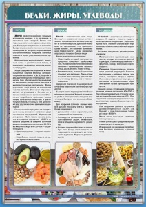 Стенд "Белки. Жиры. Углеводы" - fgospostavki.ru - Мегион