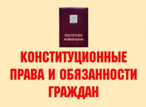 Комплект плакатов "Конституционные права и обязанности граждан" - fgospostavki.ru - Мегион