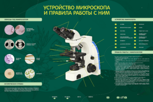 Электрифицированный стенд "Устройство микроскопа и правила работы c ним" - fgospostavki.ru - Мегион