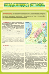 Стенд "Биосинтез белка" - fgospostavki.ru - Мегион