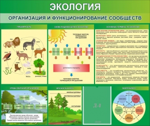 Стенд "Экология. Организация и функционирование сообществ" - fgospostavki.ru - Мегион