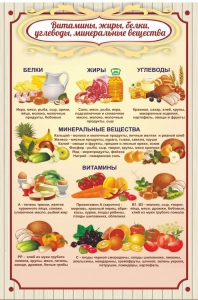 Стенд "Витамины, жиры, белки" - fgospostavki.ru - Мегион