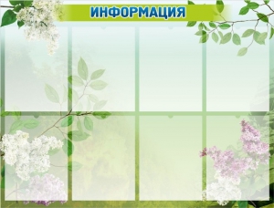 Стенд "Информация" Вариант 13 - fgospostavki.ru - Мегион