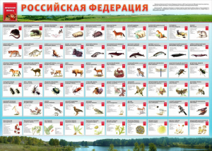 Стенд "Красная книга РФ" - fgospostavki.ru - Мегион