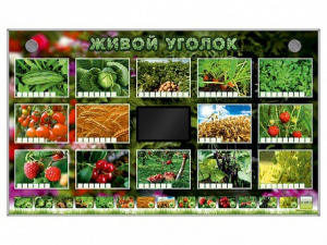 Комплект оборудования "Живой уголок" (растения) - fgospostavki.ru - Мегион