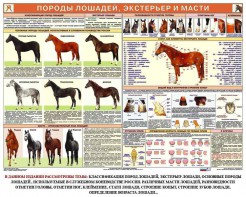 Комплект плакатов "Служебное коневодство" - fgospostavki.ru - Мегион
