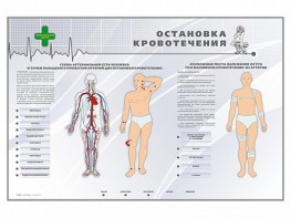 Электрифицированный стенд "Остановка кровотечения" - fgospostavki.ru - Мегион