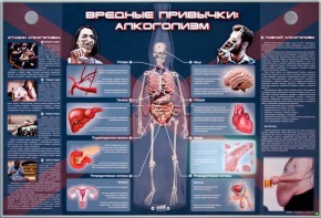 Электрифицированный стенд "Вредные привычки: алкоголизм" - fgospostavki.ru - Мегион