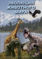 DVD "Эволюция животного мира" - fgospostavki.ru - Мегион