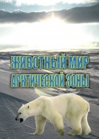 DVD "Животный мир Арктической зоны" - fgospostavki.ru - Мегион