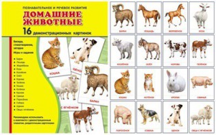 Демонстрационные карточки "Домашние животные" - fgospostavki.ru - Мегион