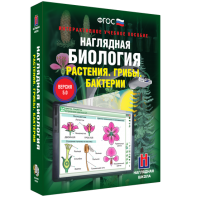 Наглядная биология. 6 класс. Растения. Грибы. Бактерии - fgospostavki.ru - Мегион