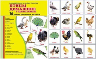Демонстрационные карточки "Птицы домашние и декоративные" - fgospostavki.ru - Мегион
