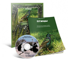 Электронное наглядное пособие «Птицы» - fgospostavki.ru - Мегион