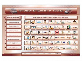 Трехсекционный базовый комплект "Травмы. Кровотечения. Ожоги" для учащихся общеобразовательных учреждений - fgospostavki.ru - Мегион