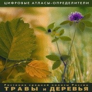 Растения средней полосы России "Травы и Деревья". (Цифровые атласы-определители) - fgospostavki.ru - Мегион