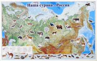 Магнитные карточки "Животные" - fgospostavki.ru - Мегион