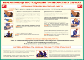 Таблица "Порядок действий при внезапной смерти" (100х140 сантиметров, винил) - fgospostavki.ru - Мегион
