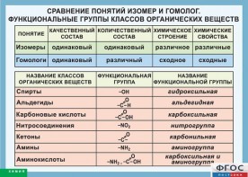 Таблица. Сравнение понятий изомер и гомолог. Функциональные группы классов органических веществ. - fgospostavki.ru - Мегион