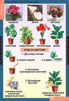 Комплект таблиц. Окружающий мир 1 класс. - fgospostavki.ru - Мегион