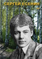 DVD "Сергей Есенин" - fgospostavki.ru - Мегион